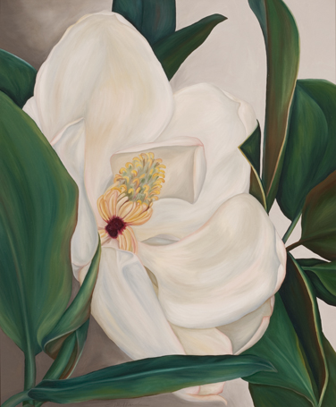 Magnolia 2a