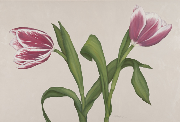 Tulips 3