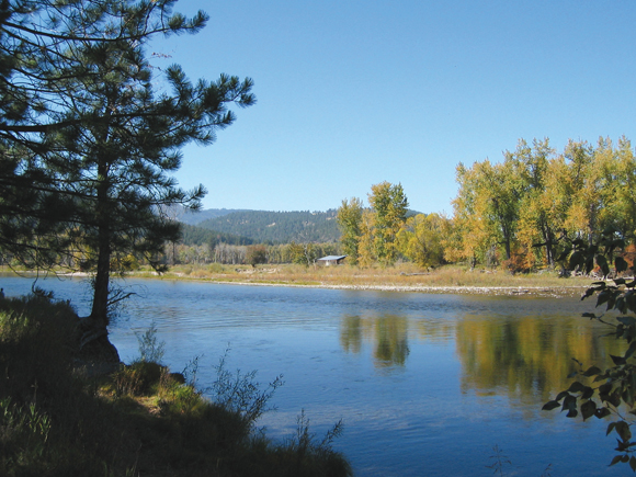 Bitterroot River 1