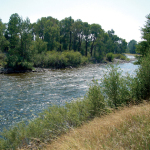 Boulder River 1