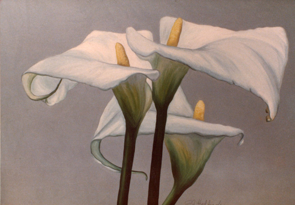 Lilies #1 oil 42x36