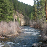 Rattlesnake Creek 1