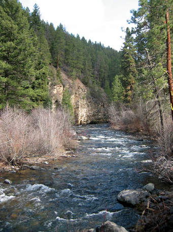 Rattlesnake Creek 1