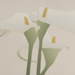 Grey Lilies