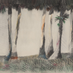 Six Palms