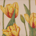 Yellow Tulips